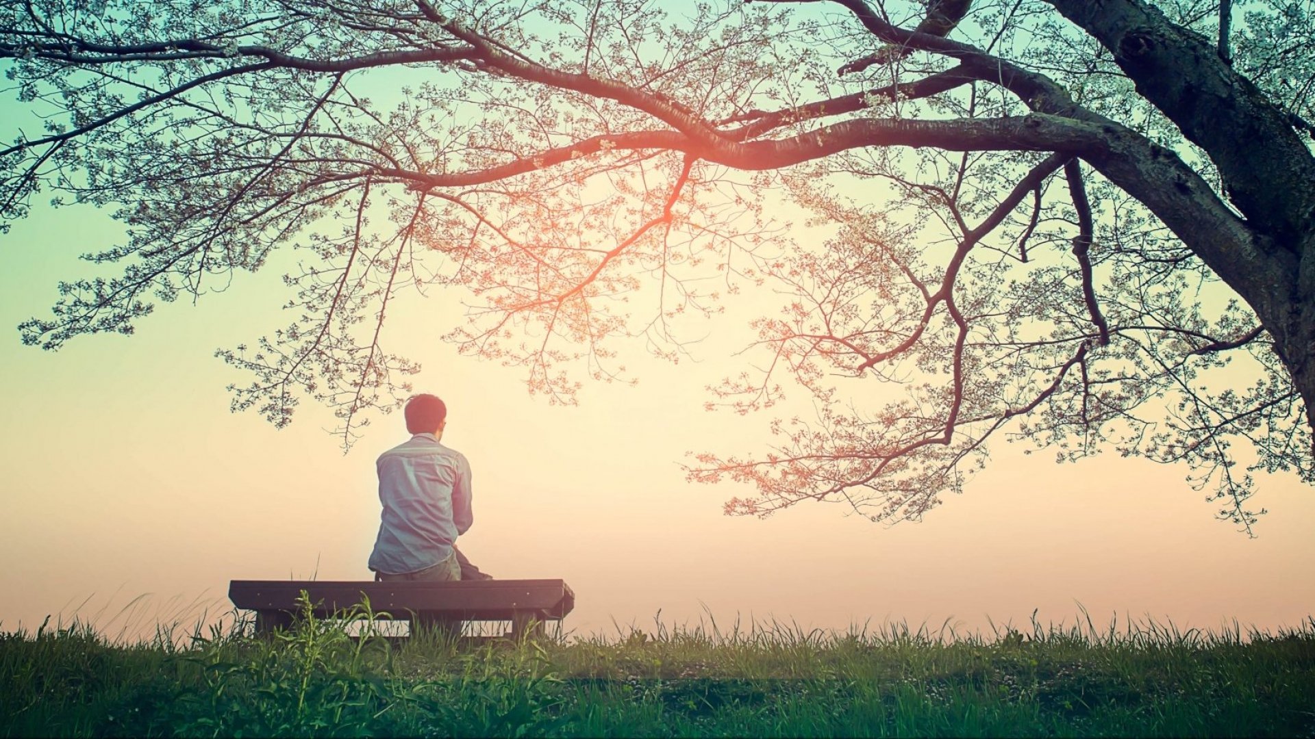 10 Things Mentally Strong People Give Up to Gain Inner Peace